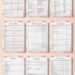 Wedding Planning Cheat Sheet: Instant 118-Page PDF Guide Wedding Planning Cheat Sheet: Instant 118-Page PDF Guide