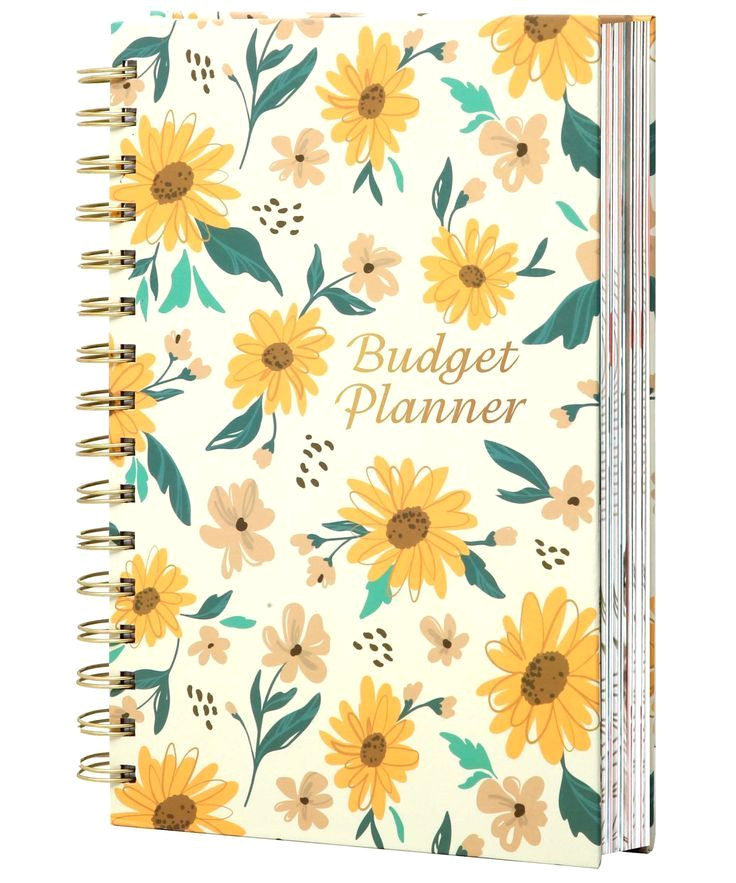 Master Your Finances with this Simple Budget Planner