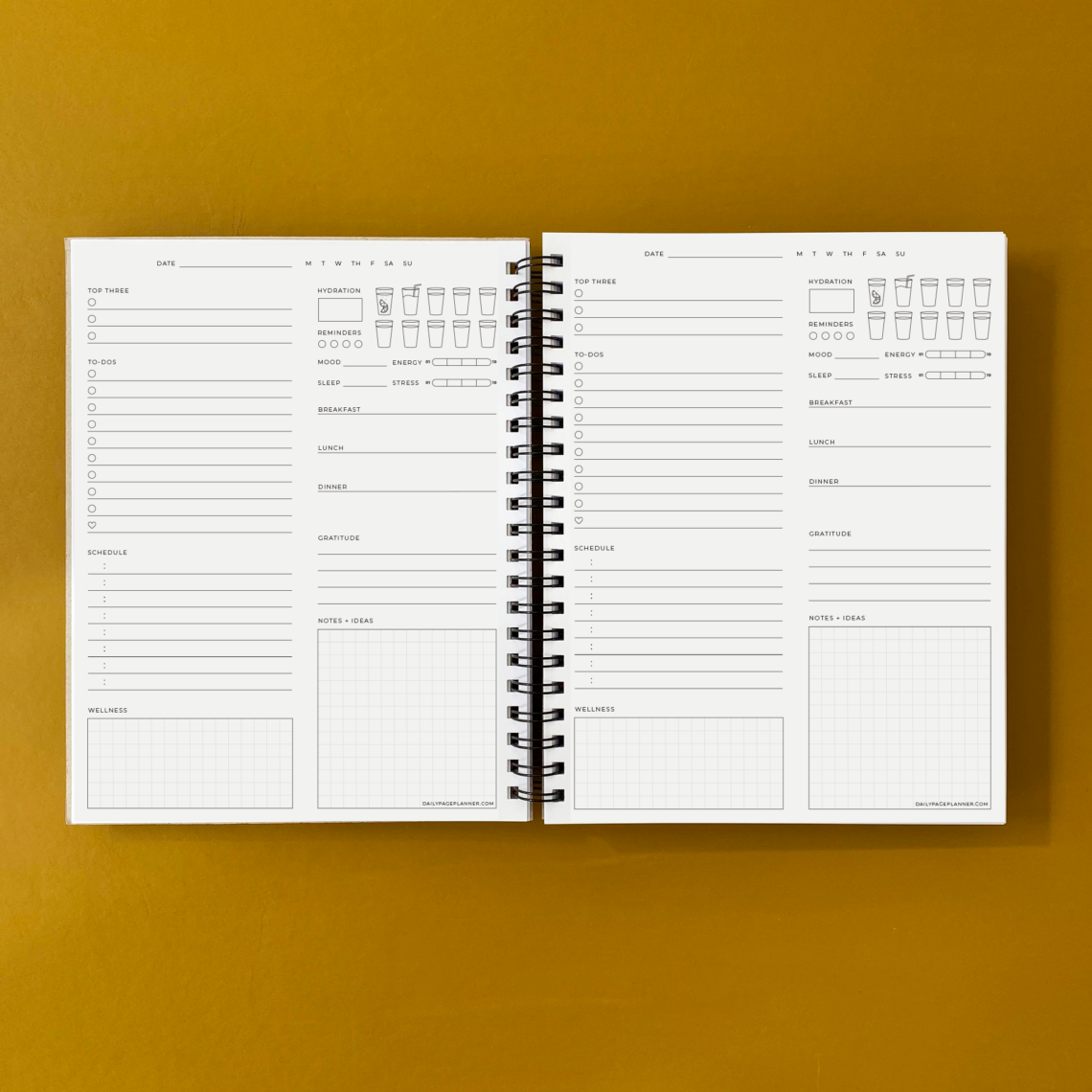 6-Month Planner to Stay Organized