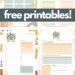 Get Organized with These 100% Free Printable Planners