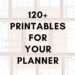 Instant Organization: 120+ Proven Printable Planner Templates