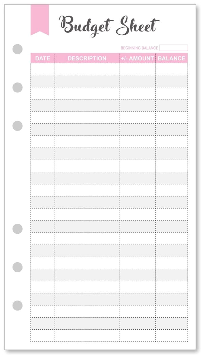 90-Piece Budget Tracker Kit: A6-Sized Expense Sheets with Holes for Easy Organization