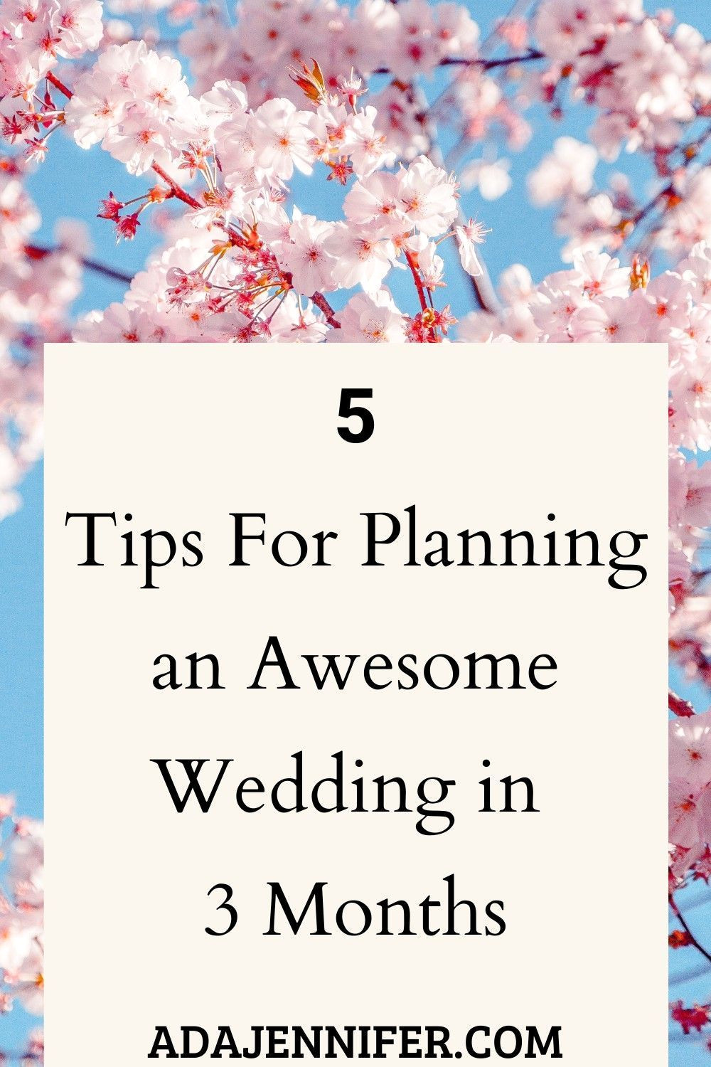 Plan Your Dream Wedding in 9 Months Flat